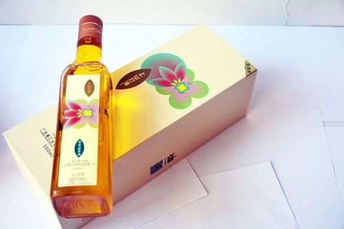 河源有禮旅游商品大賽決賽在即，多款創意產品或成獎項黑馬